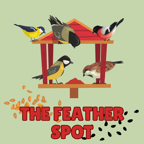 THE FEATHER SPOT